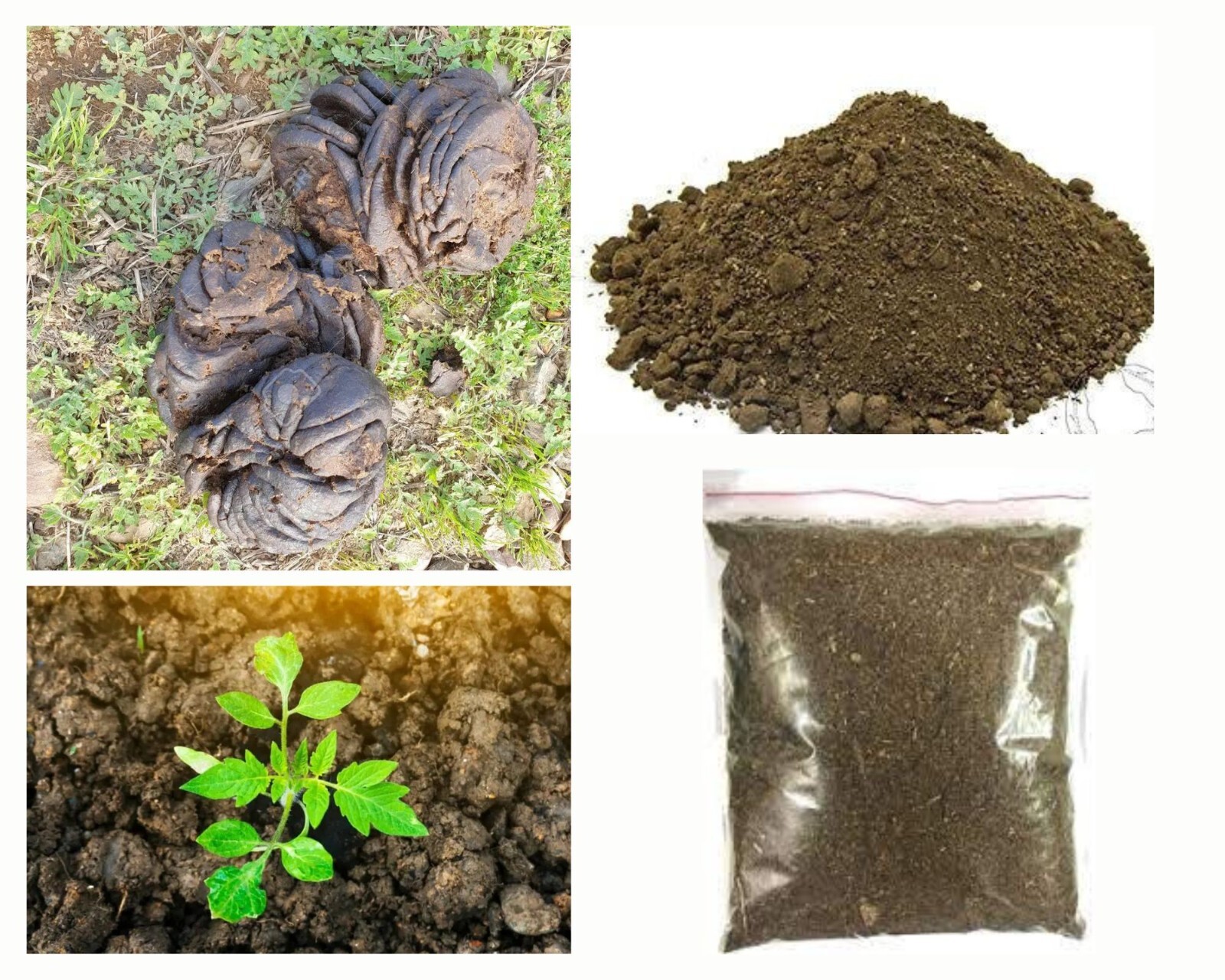 Dried Cow Dung Manure Organic Fertilizer Natural Compost For Plants Growth 400g