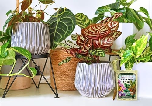 Houseplant Plant Food Spikes 5 5 5 Fertilizer 12 Count Indoor Flower Continuous