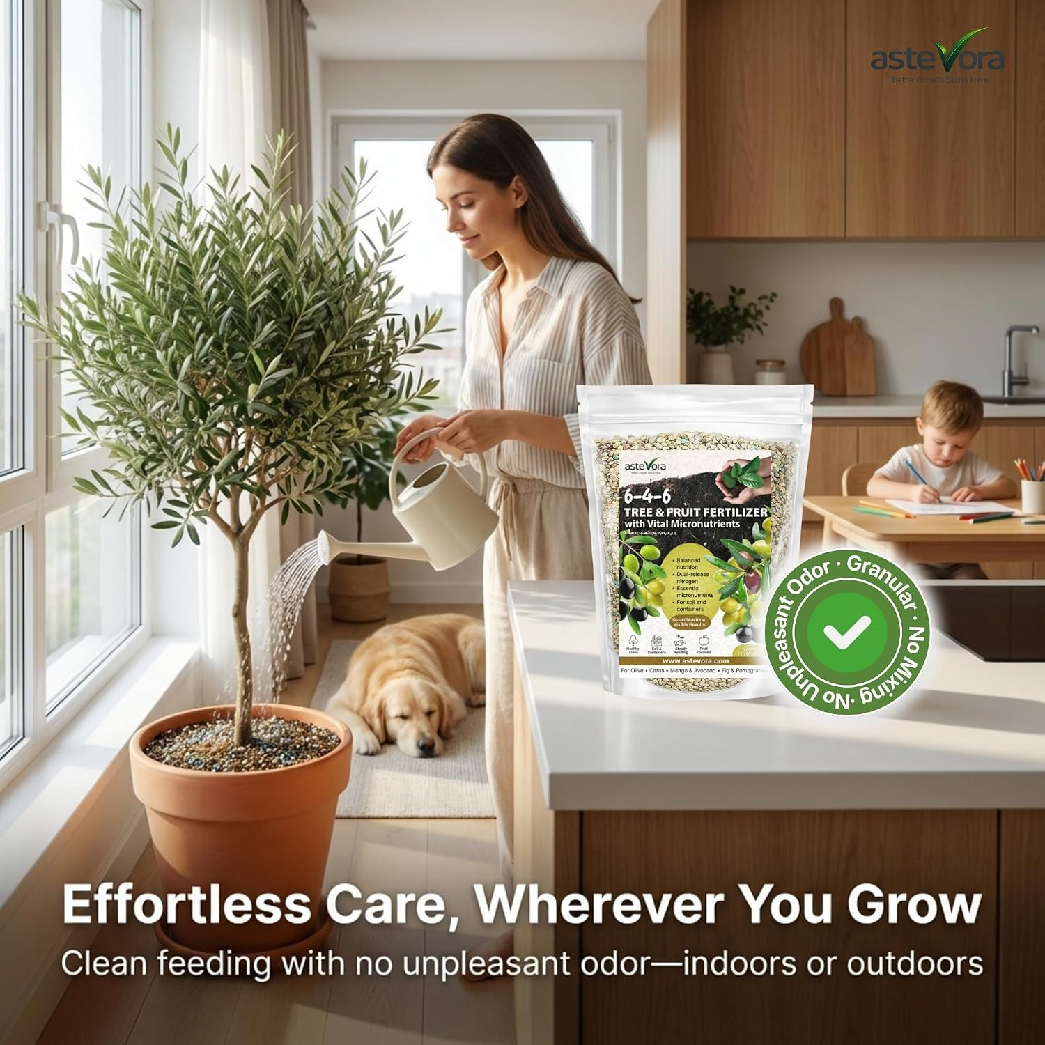 Olive Tree Fertilizer – Fruit Tree Fertilizer for Olive Tree, Citrus, Lemon, Lim