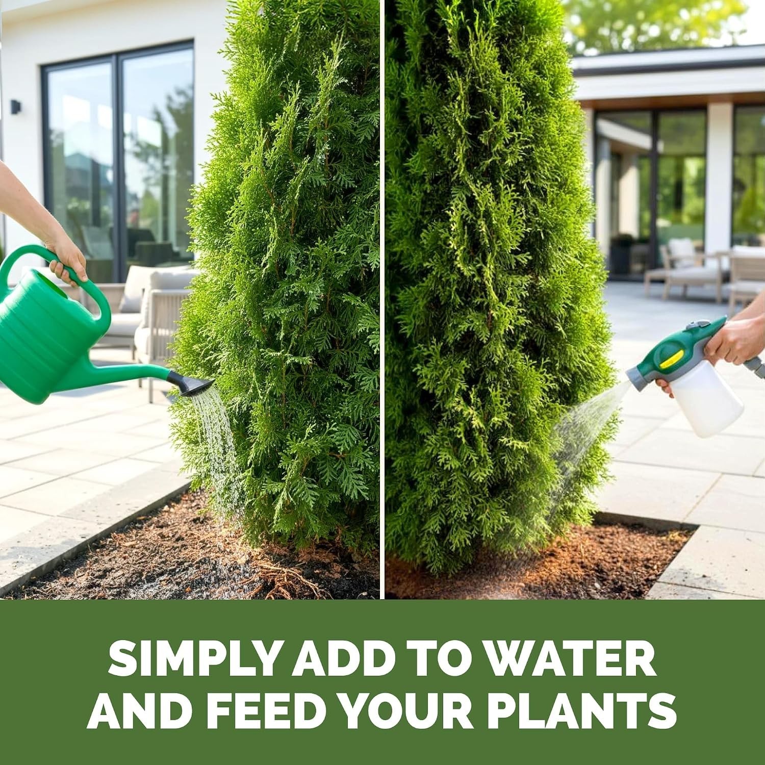 32 oz Arborvitae Tree Fertilizer – Fast-Absorbing Liquid Plant Food for Healt…