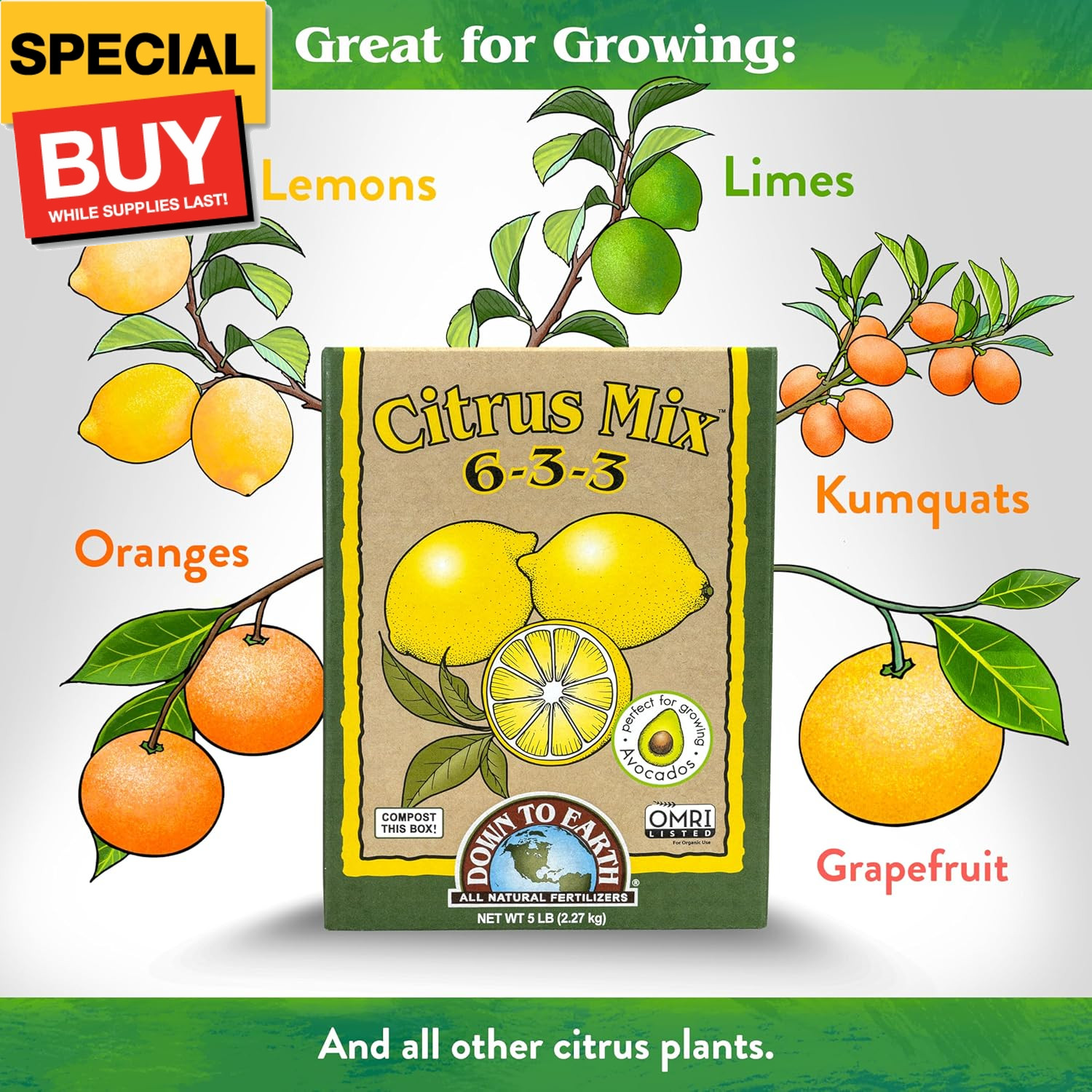 Down to Earth Organic Citrus Fertilizer Mix 6-3-3, 1 lb
