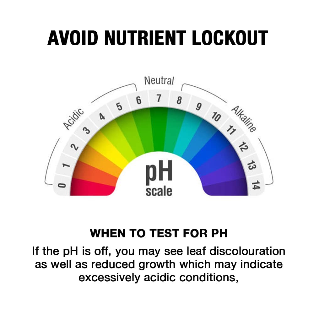 pH Up pH Control Liquid, Premium Buffering for pH Stability, Increases pH Lev…