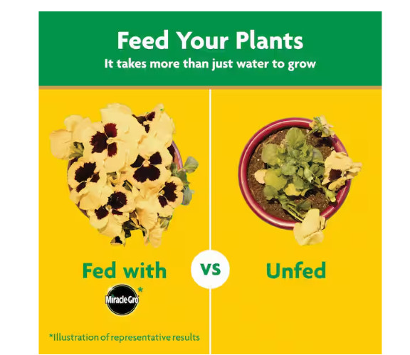 Water Soluble All Purpose Plant Food for Indoor/Outdoor Plants, Roses, 4.25 lbs.