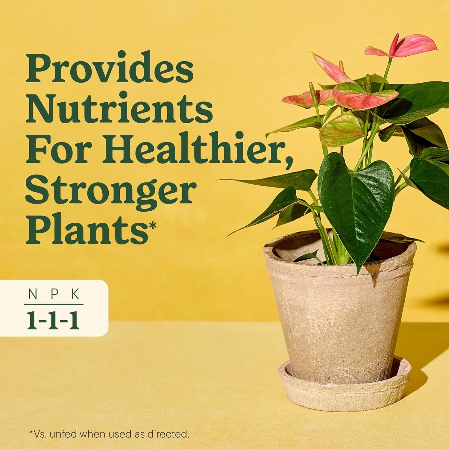 All-Purpose Plant Food – 2 Bottles of 8 fl. oz. Liquid for Healthy Houseplants