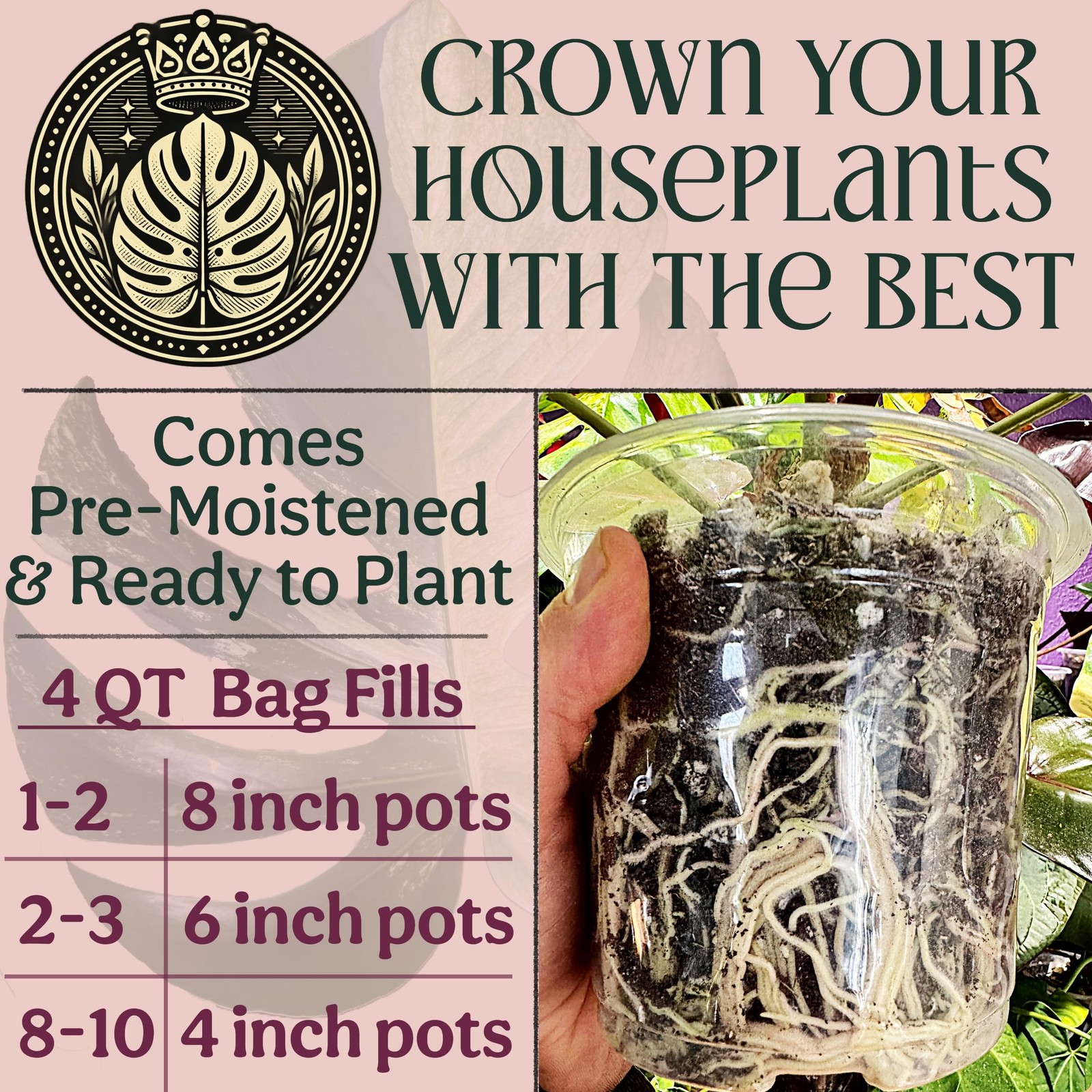 Craft Houseplant Potting Mix, Elite House Plant Soil, Chunky, Well Draining P…