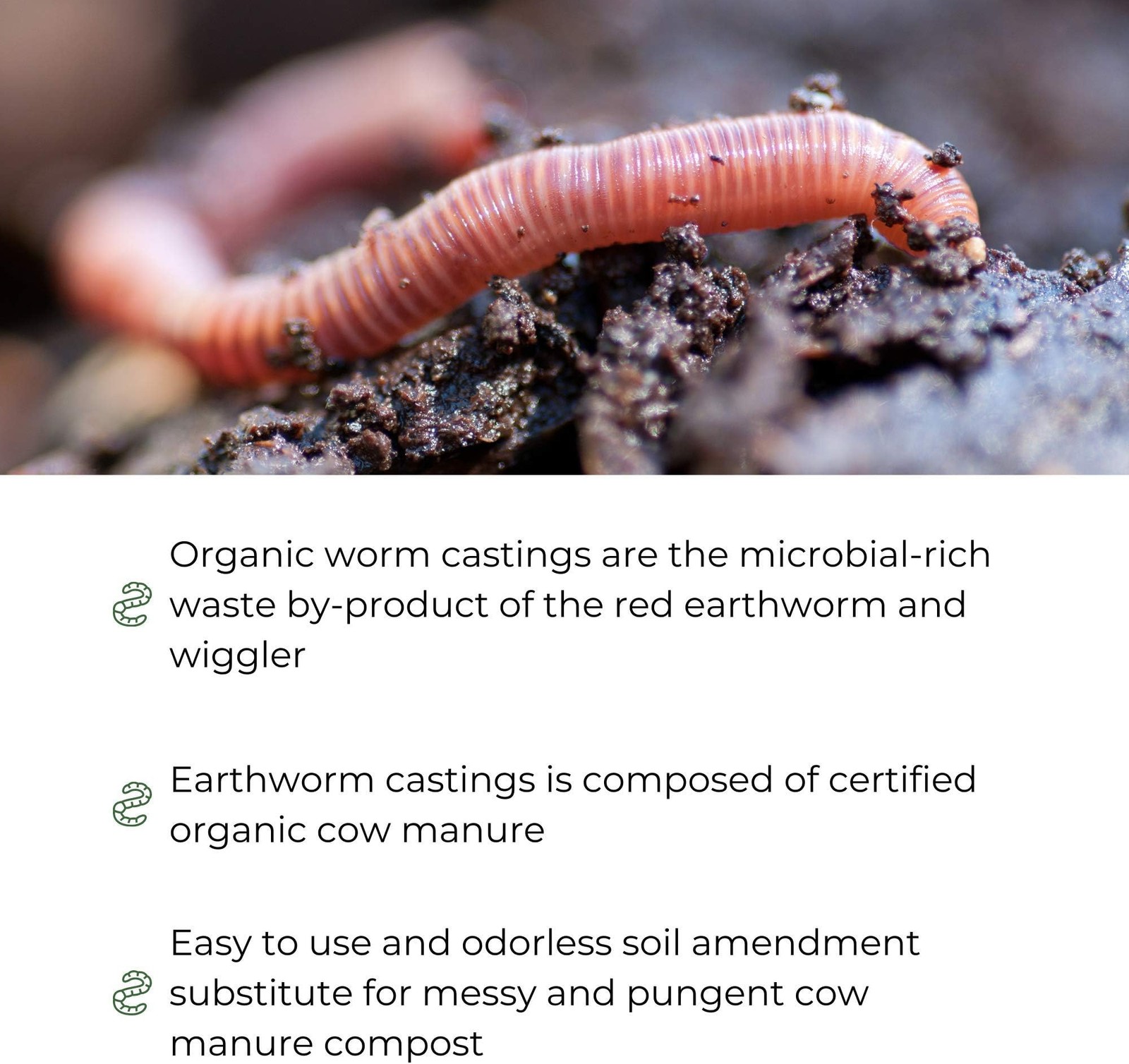 Earth Worm Castings – Organic Red Worm Compost Soil Amendment – .13 Cubic Foo…