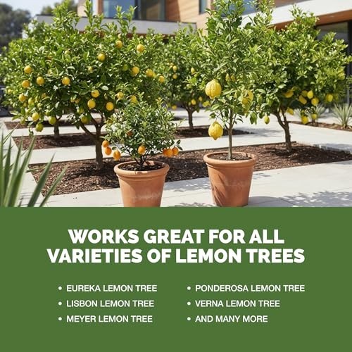Liquid Lemon Tree Fertilizer – Boost Fruit, Enhance Flowers & Strengthen Roots,