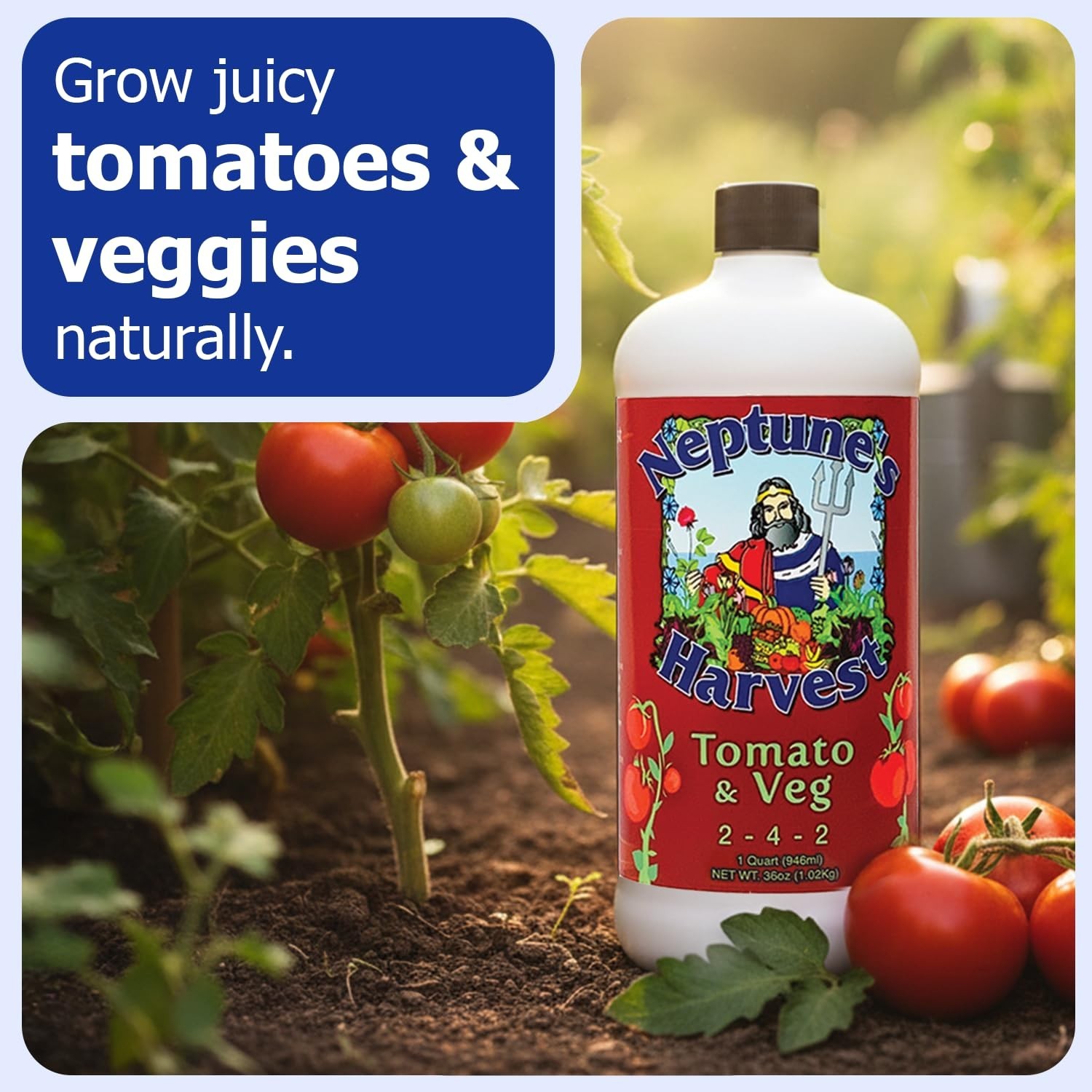 Organic Tomato & Vegetable Fertilizer 2-4-2 Liquid Plant Food – Fish, Seaweed, M