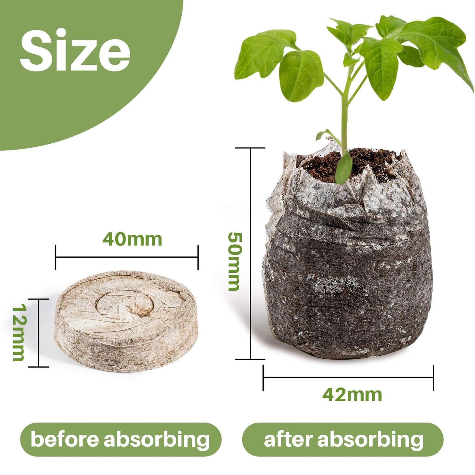 MAQIHAN 40PCS Peat Pellets for Seedlings 40MM Seed Starter Soil Pods Seed