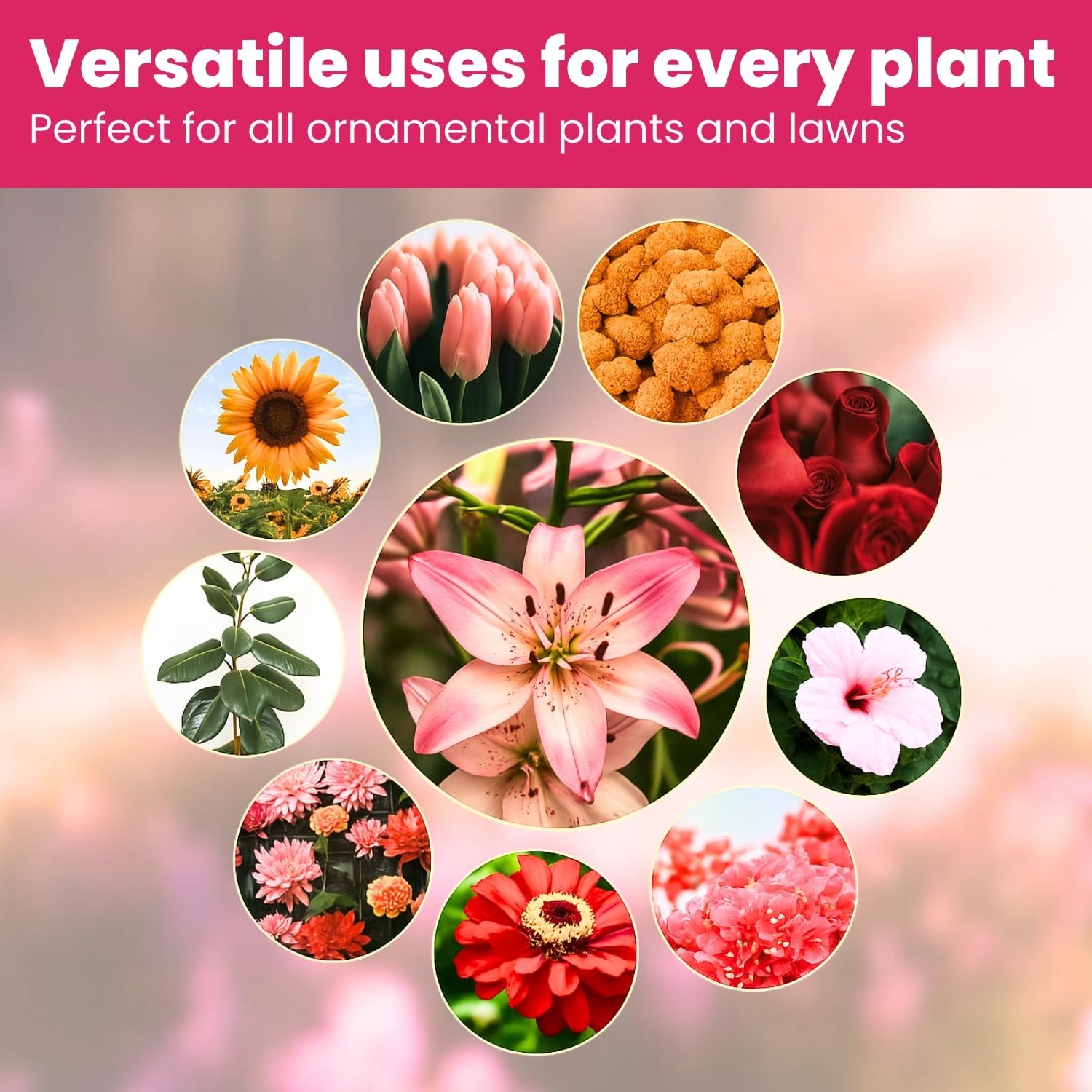Biogrowth Vivid Enzyme Organic Plant Food – Fertilizer for Flowers and Lawns