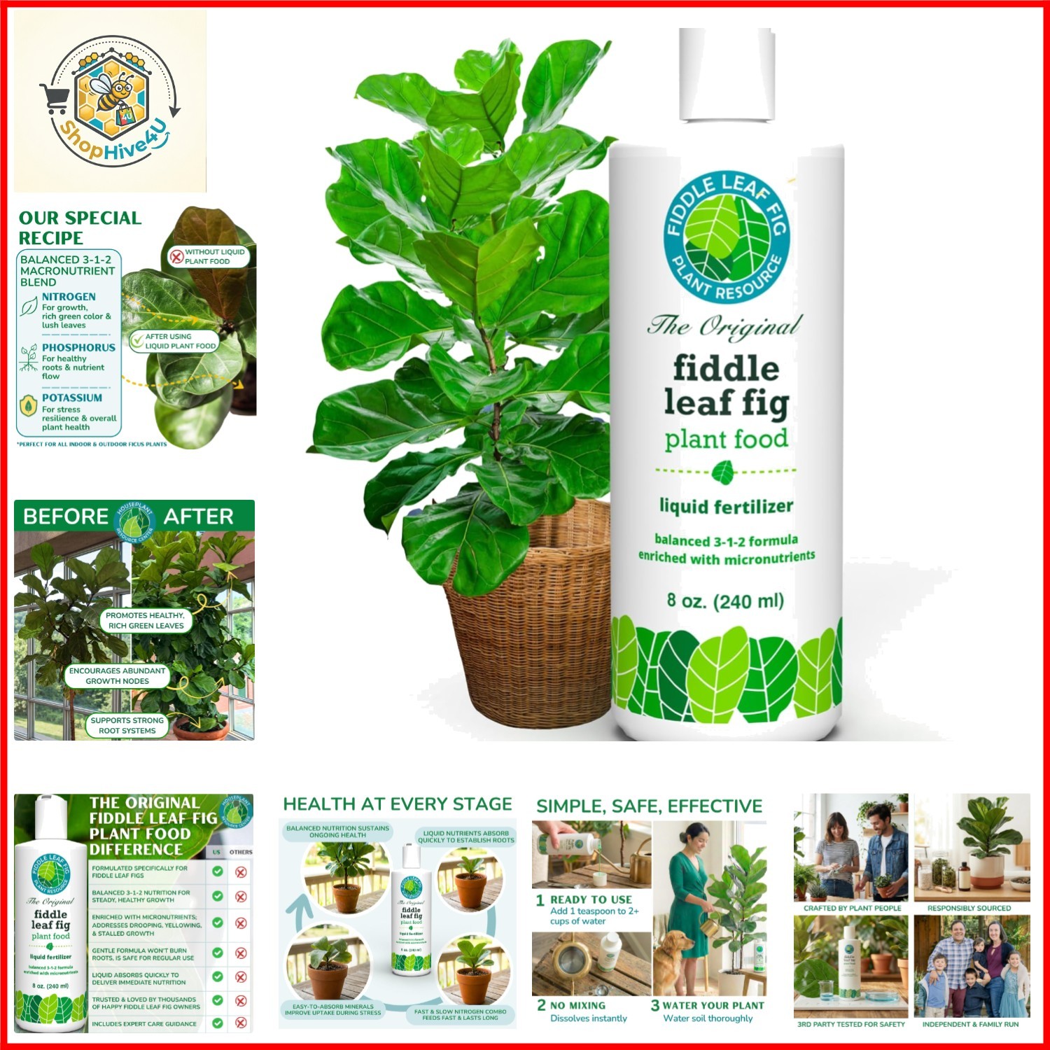 3-1-2 NPK Liquid Fertilizer for Ficus, 8 oz