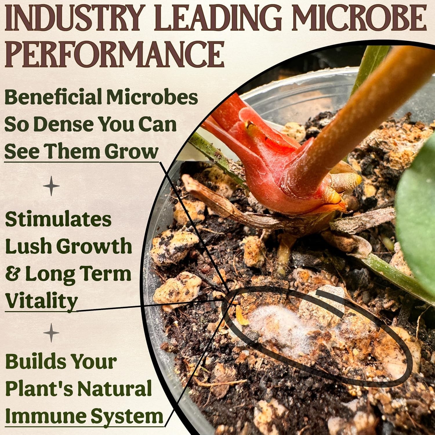 Sustainable All Natural Plant Food, 75 Formulated Servings