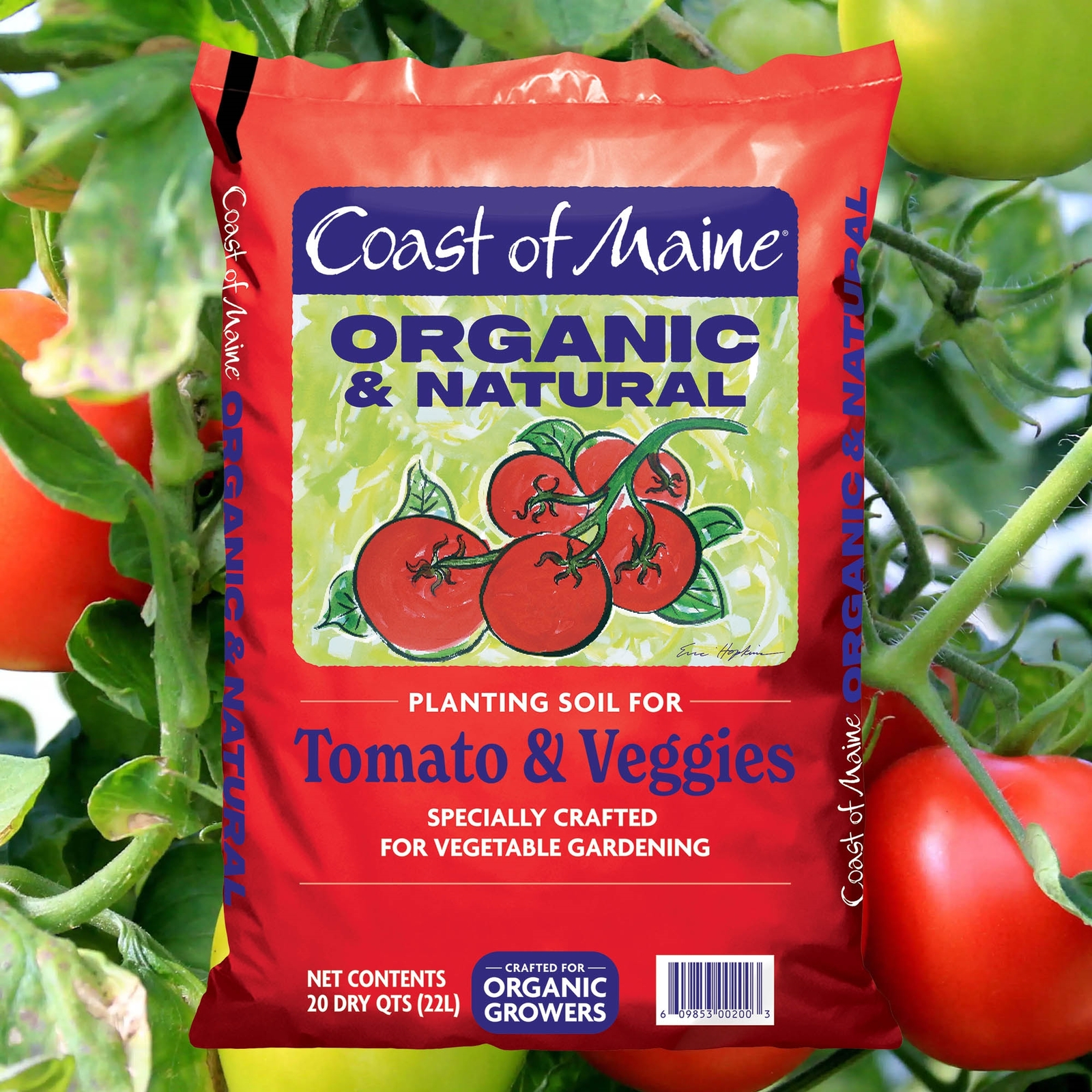 Coast of Maine OMRI Listed Tomato/Vegetable Planting Soil, 20 Qt Bag (Pack of 6)