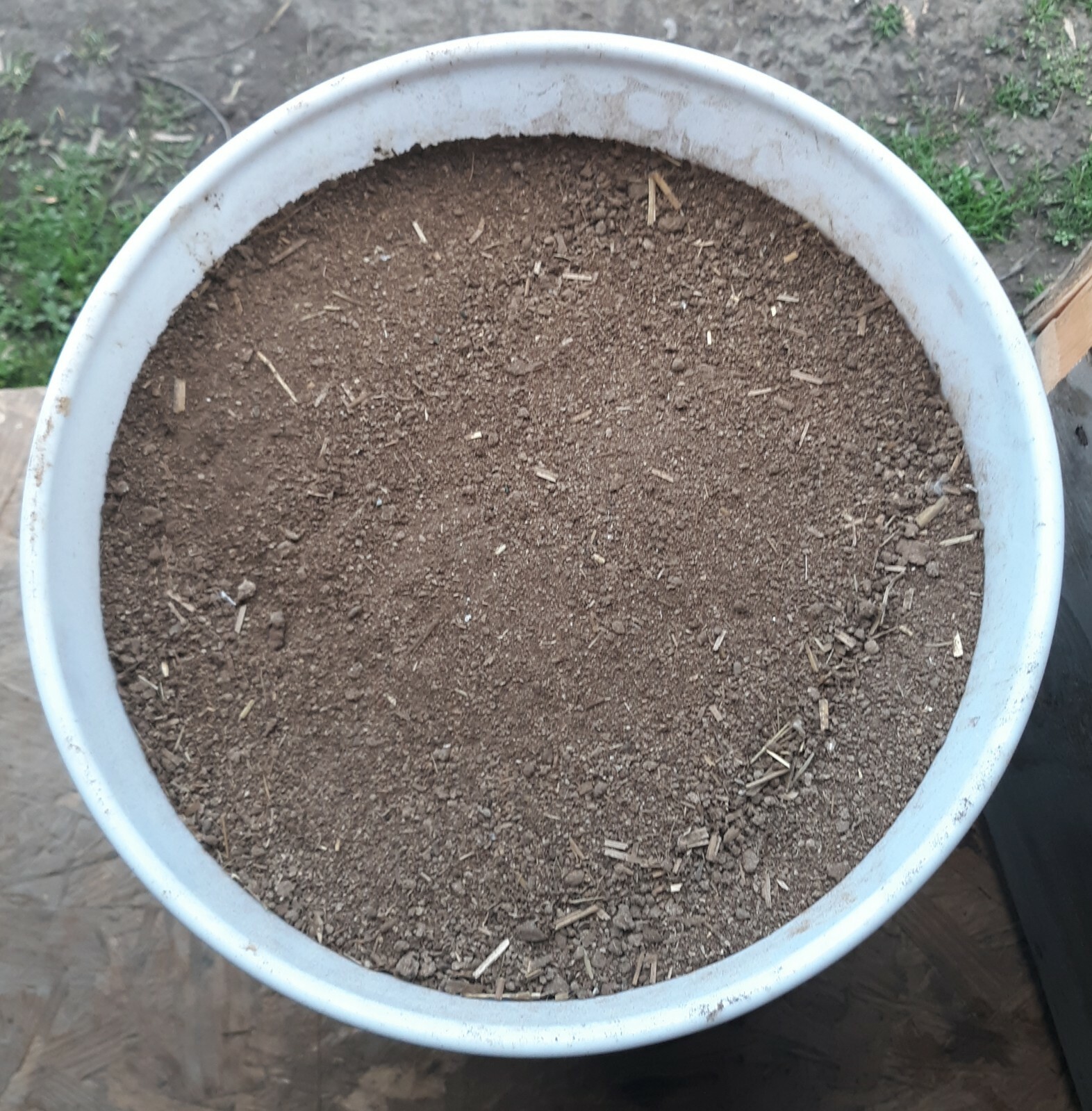 16 Lbs Dry Chicken Manure