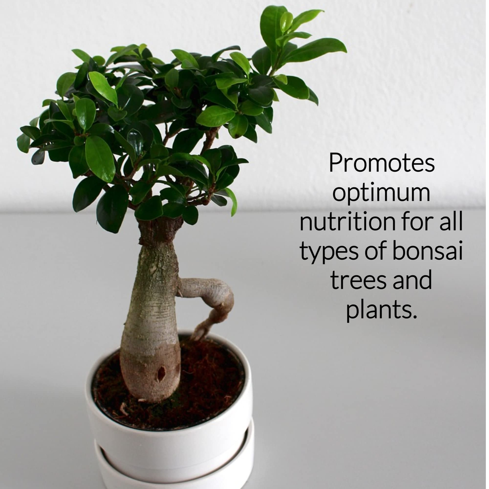 Professional Liquid Bonsai Plant Fertilizer | 312 Concentrate For Bonsai Plants