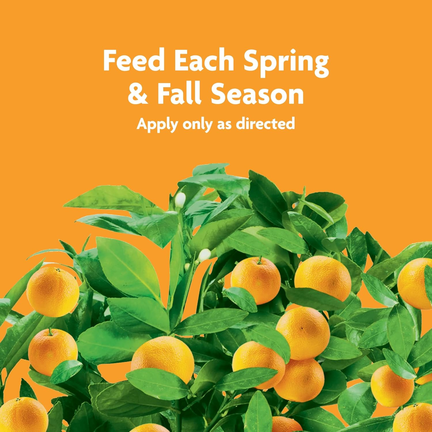 Miracle-Gro Fruit & Citrus Plant Food Spikes – 10-15-15 NPK Easy-To-Use Nutri…