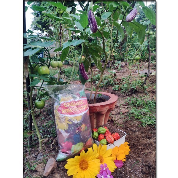 Organic Mixed Fertilizers for Flowering plants, Fruits, Vegetables Free Shipping