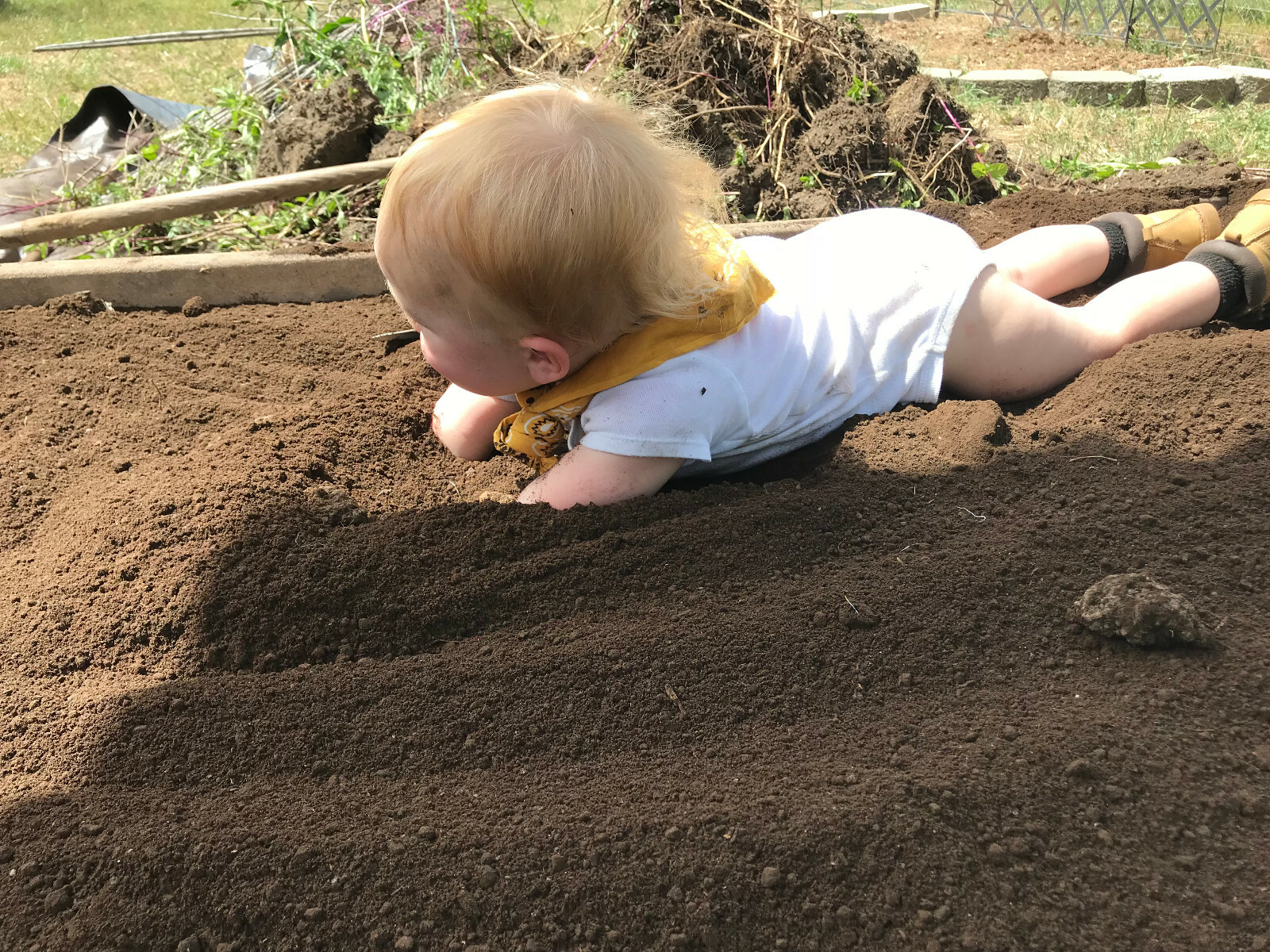 FRESH Natural Worm Castings, Soil Amendment, Tea, Compost