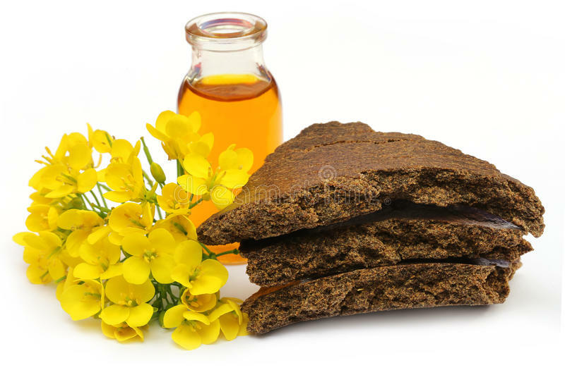 Organic mustard oil cake powder for bonsai garden plants 4.5 kg
