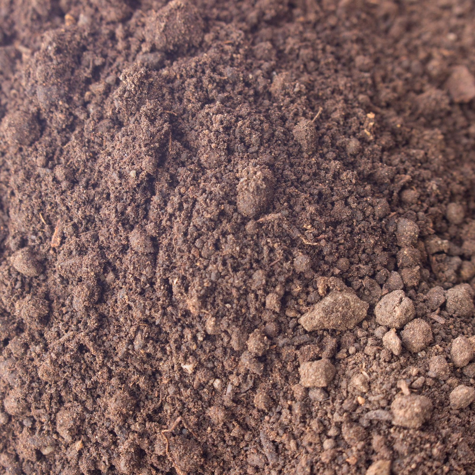 Earth Worm Castings – Organic Red Worm Compost Soil Amendment – .13 Cubic Foo…
