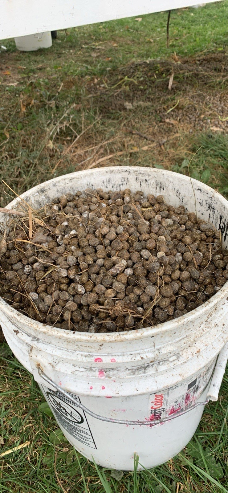 Natural Garden Fertilizer, Homegrown Rabbit Manure