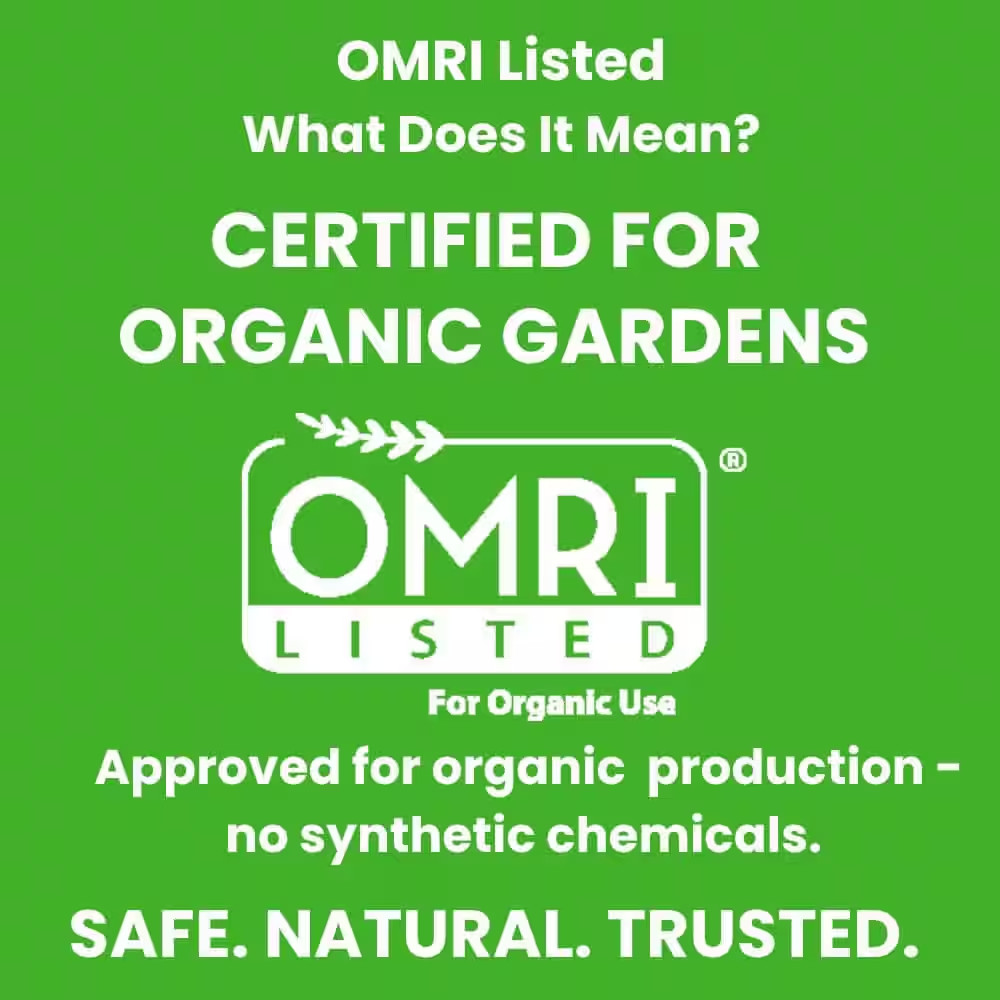 6 Lb. Organic Garden Lime Dry Plant Food Fertilizer (5-Pack)