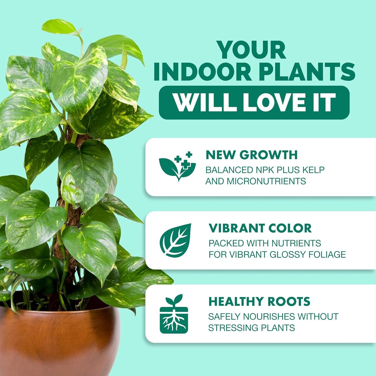 Liquid Fertilizer for Indoor Plants & Potted Houseplants – Healthy Root Support