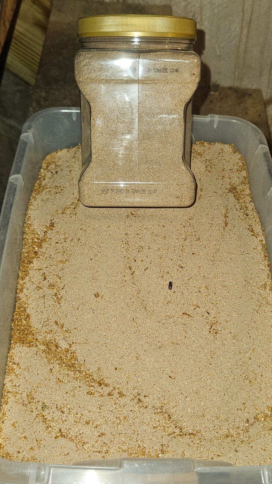 Mealworm Frass Fertilizer Plant Care Mealworm Castings Poop Ultra Fine Sift