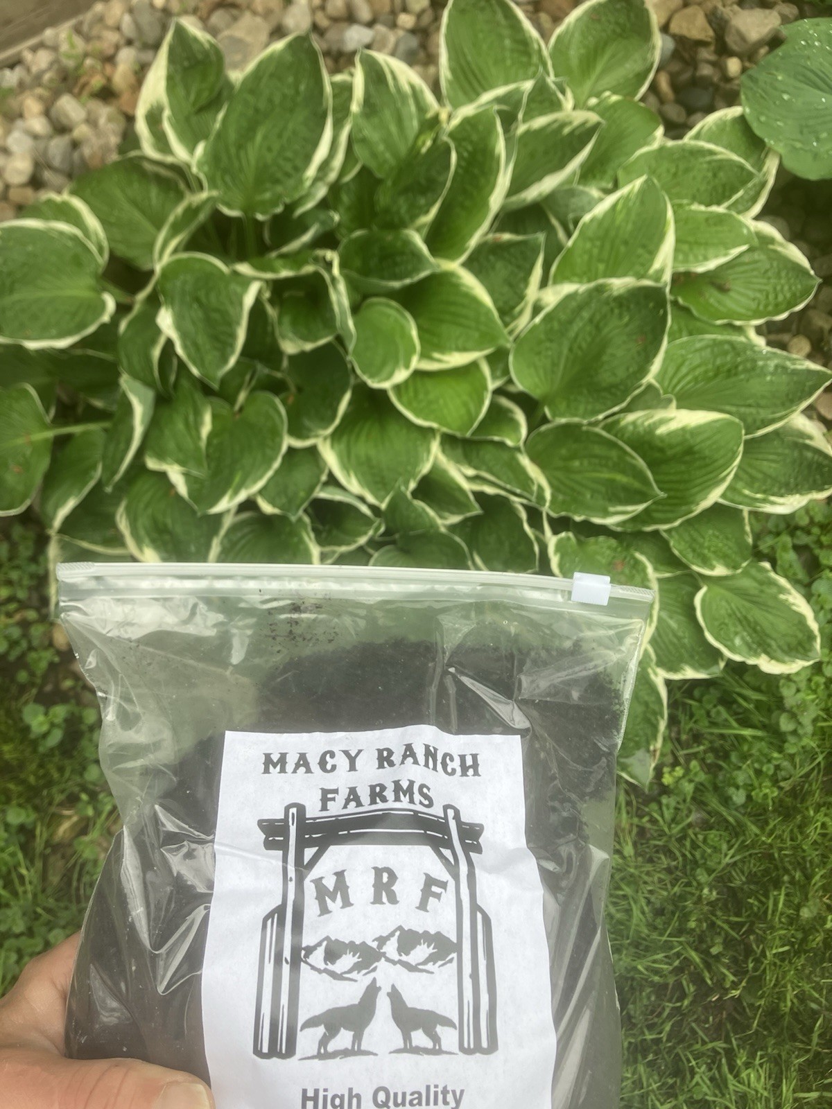 3 lb Worm Casting-Macy Ranch Farms-Clean Organic Soil Builder For Gardens/Plants