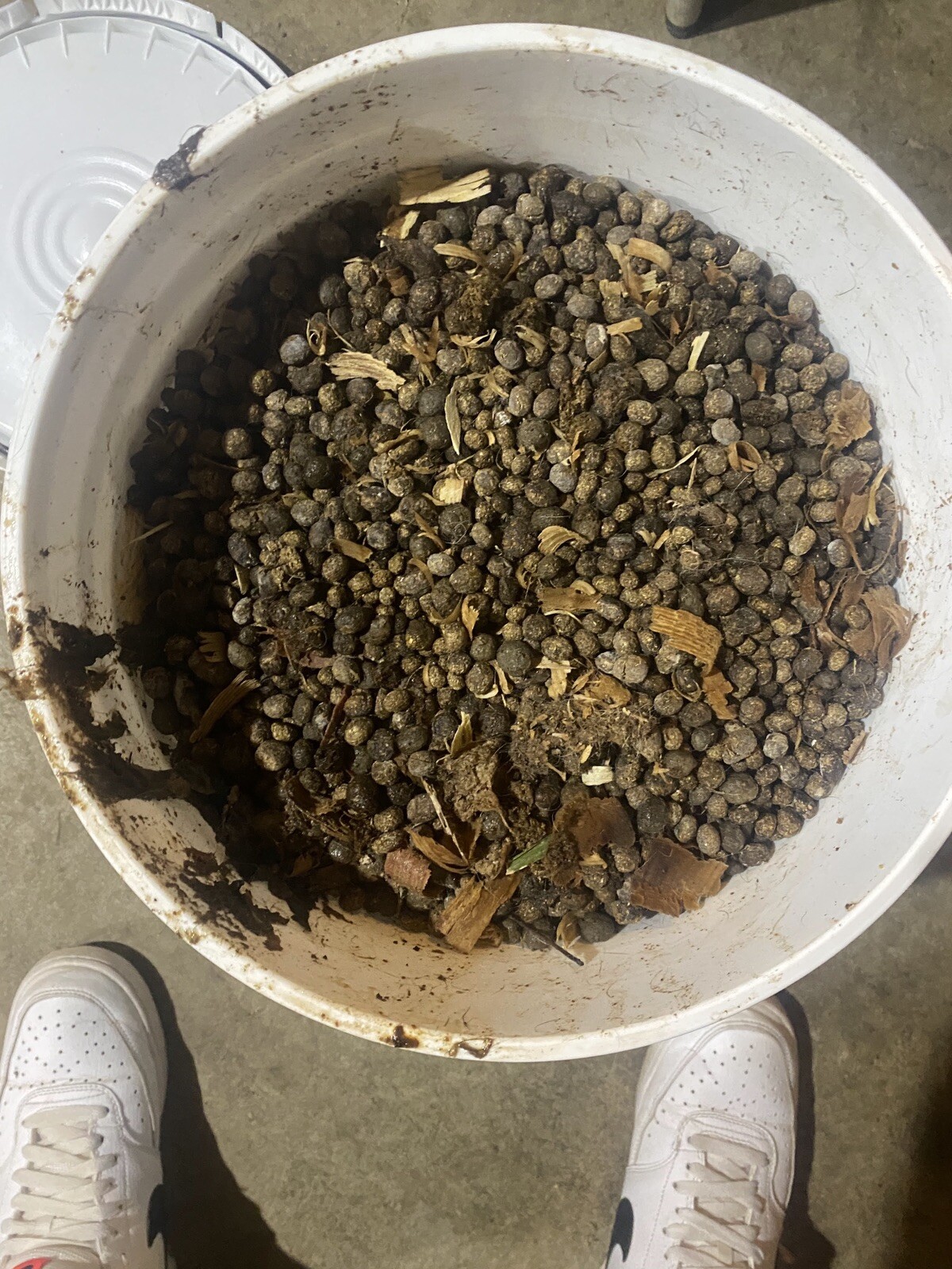 30lbs Of Rabbit Manure $3 Per Pound
