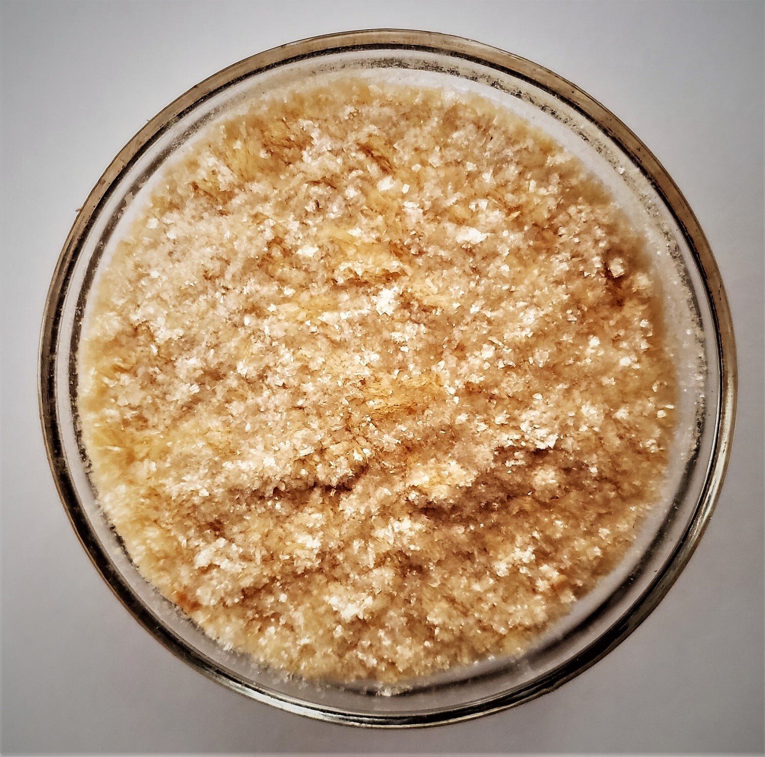 BuildASoil Aloe Vera Powder “Flakes” 200x Certified Organic • Cloning/Veg • 15g