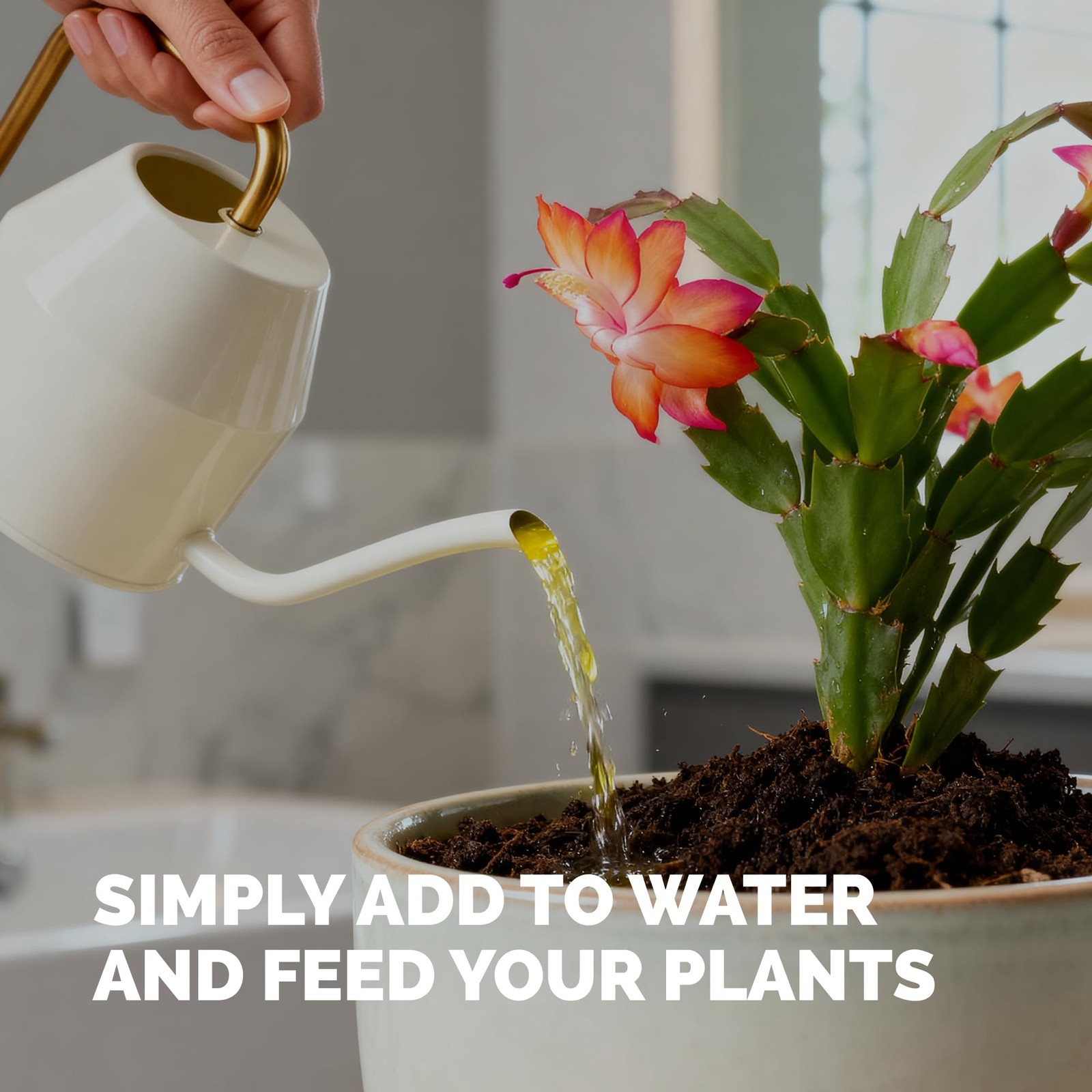 Christmas Cactus Fertilizer – Liquid Plant Food for More 8 oz (1/2 Pint)