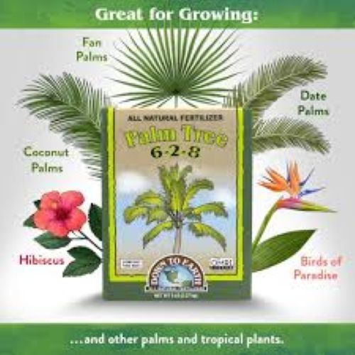 Down to Earth Palm Tree 6-2-8 All Natural Fertilizer, 5lb