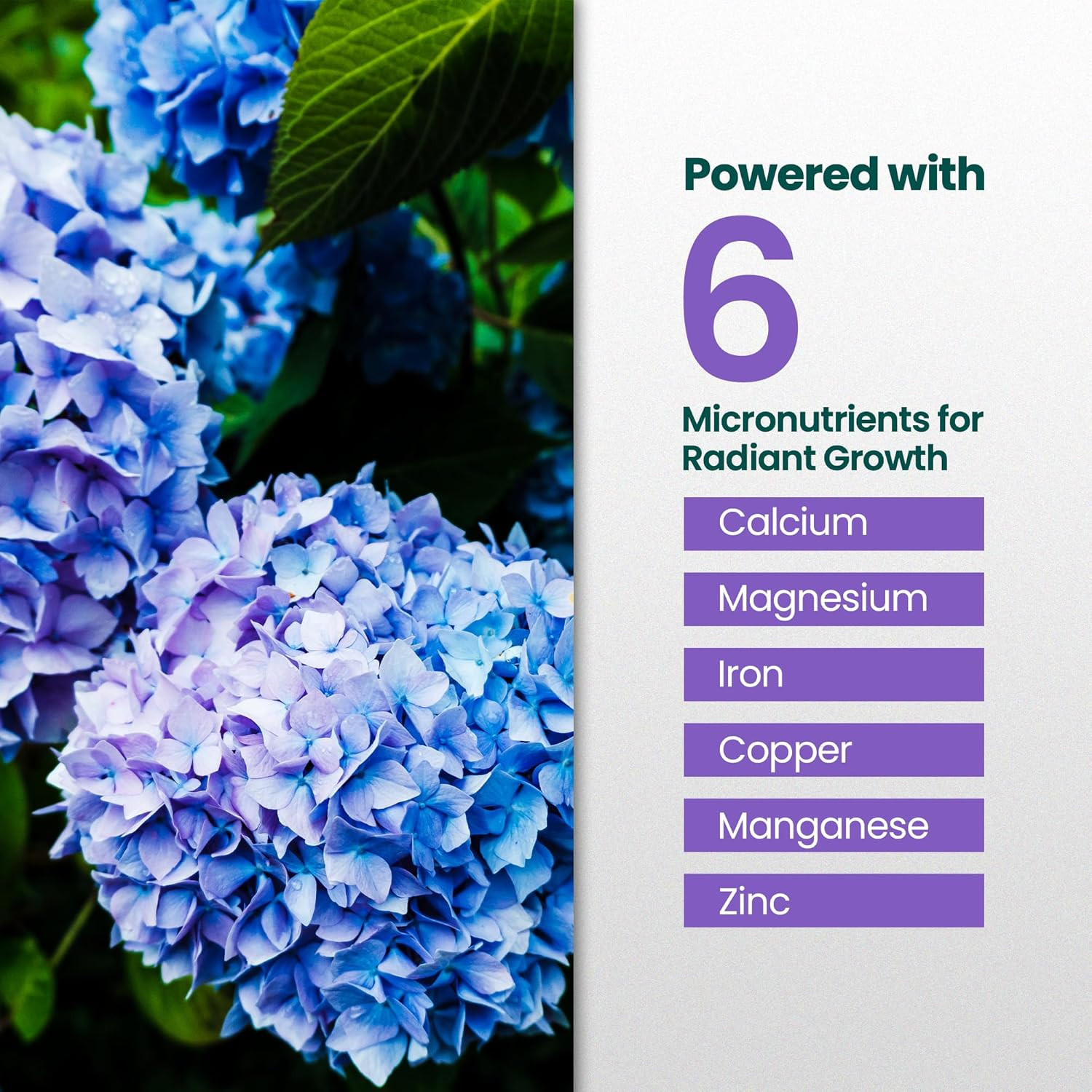 16Oz Hydrangea Fertilizer – Makes 16 Gallons of Hydrangea Plant Food, Hydrangeas