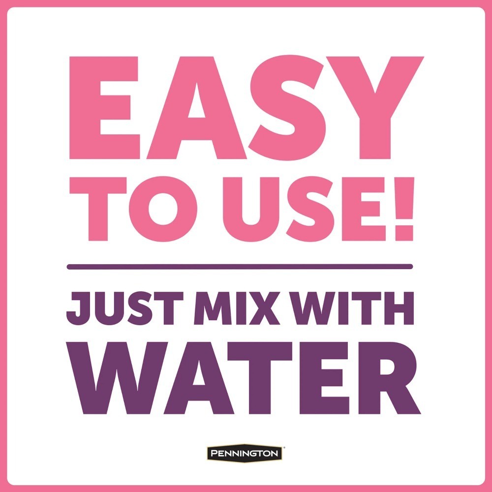 Ready-to-Use Liquid Hummingbird Electrolyte Food 16 fl oz Bottle