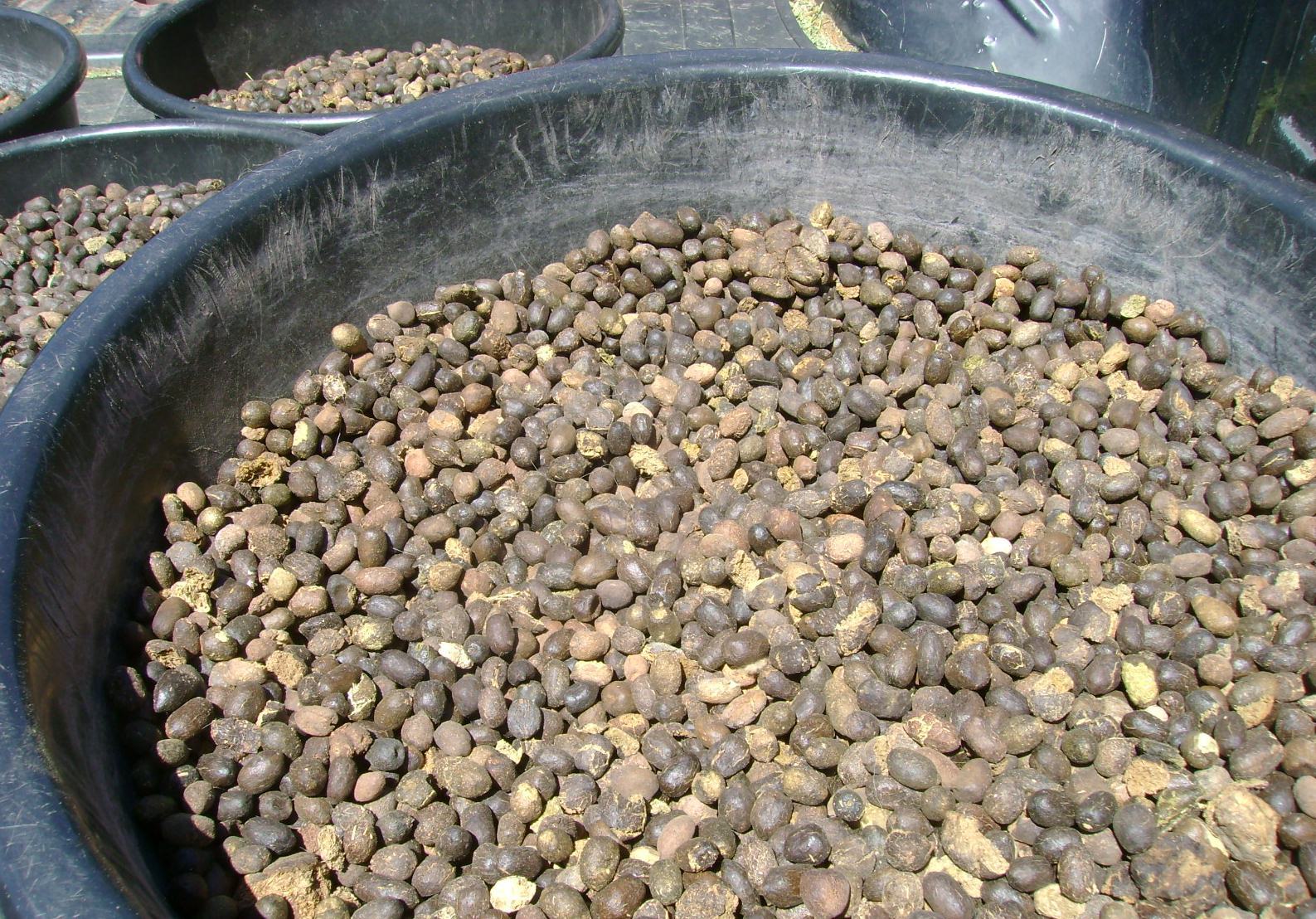Organic Dried Sheep Manure, BULK Manure – THREE POUNDS