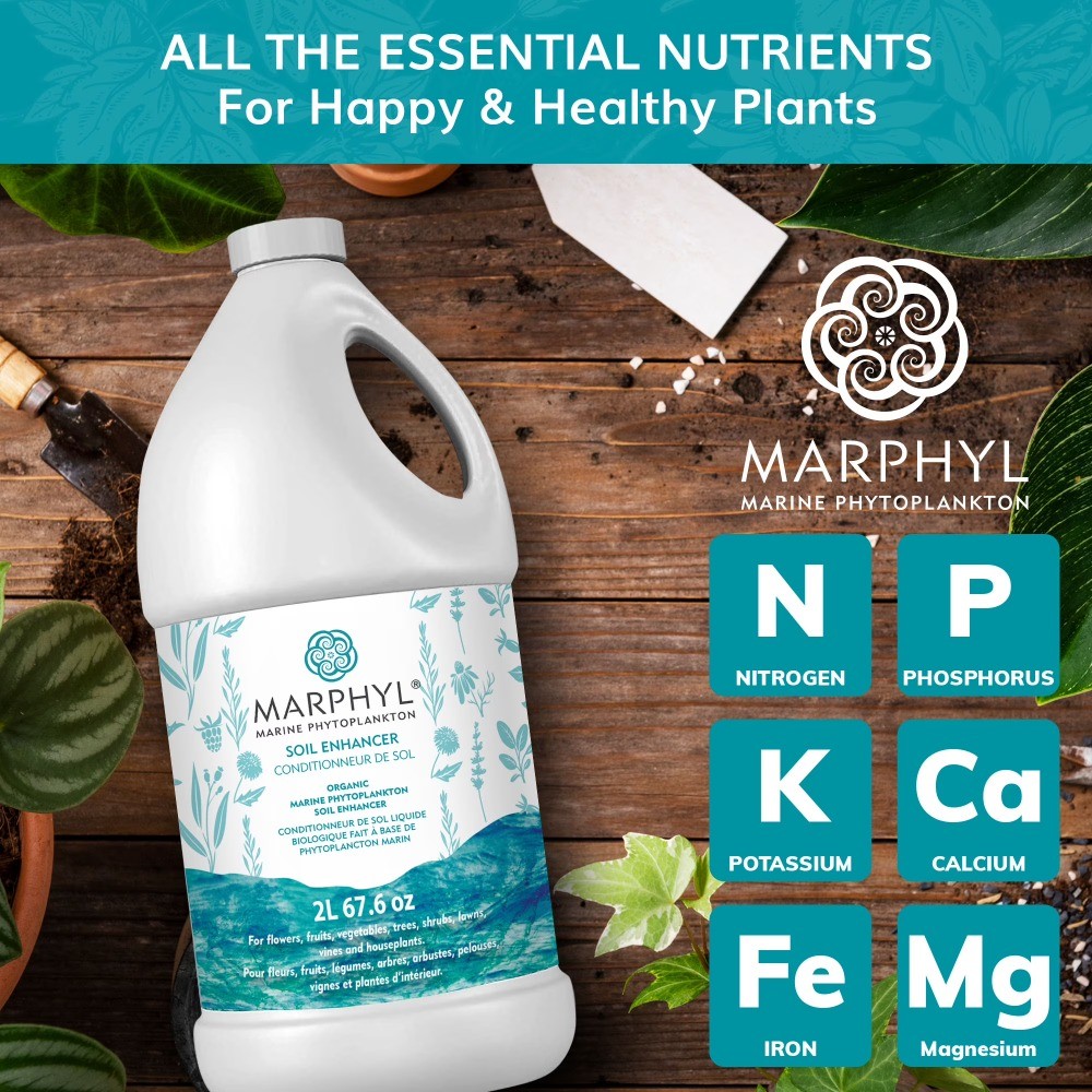 Organic Liquid All Purpose Fertilizer – Indoor & Outdoor Plants, 16.9 oz