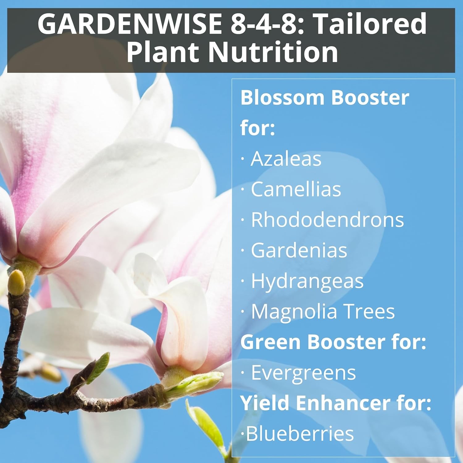 GARDENWISE 8-4-8 Acidic Fertilizer for Azaleas, Camellias (Camelia), Hydrangeas,