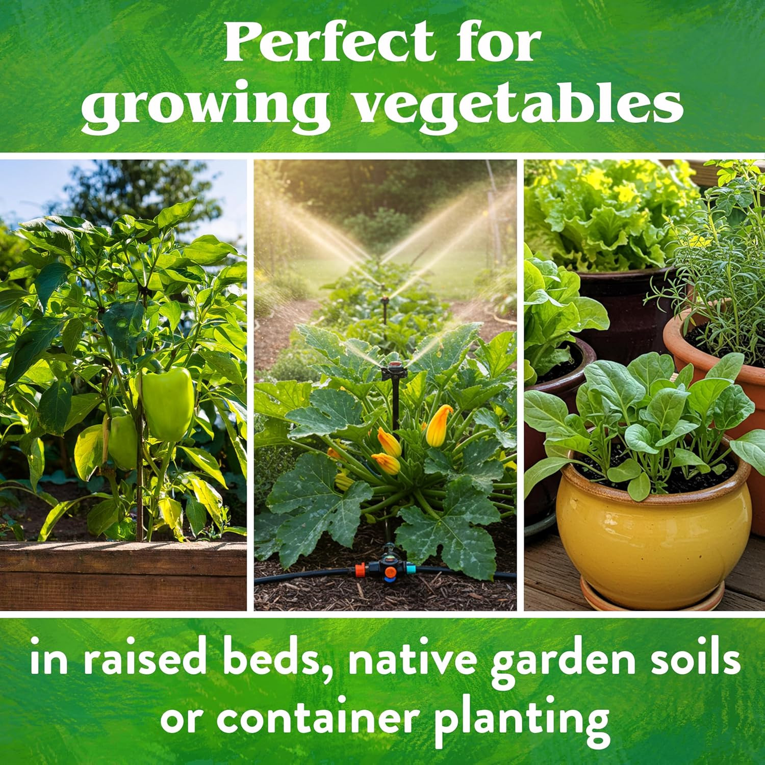 Organic Vegetable Garden – Plant Food for Vegetables, Herbs, Greens and Raised B