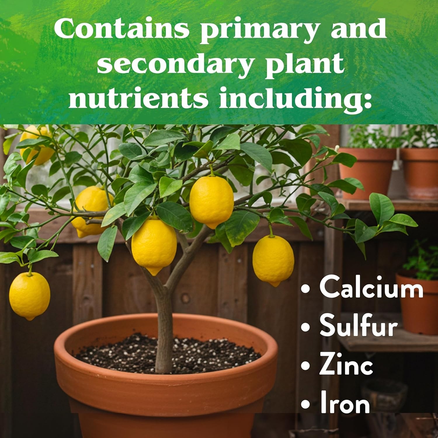 Organic Citrus Mix Fertilizer 6-3-3 – 5 lb for Vibrant Lemon & Avocado Growth