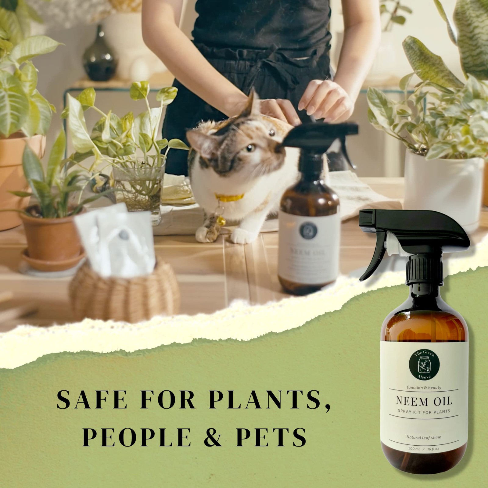 Neem Oil Spray Kit For Plants Makes Five 16 Fl Oz 100 Pure Cold Pressed Neem Sp