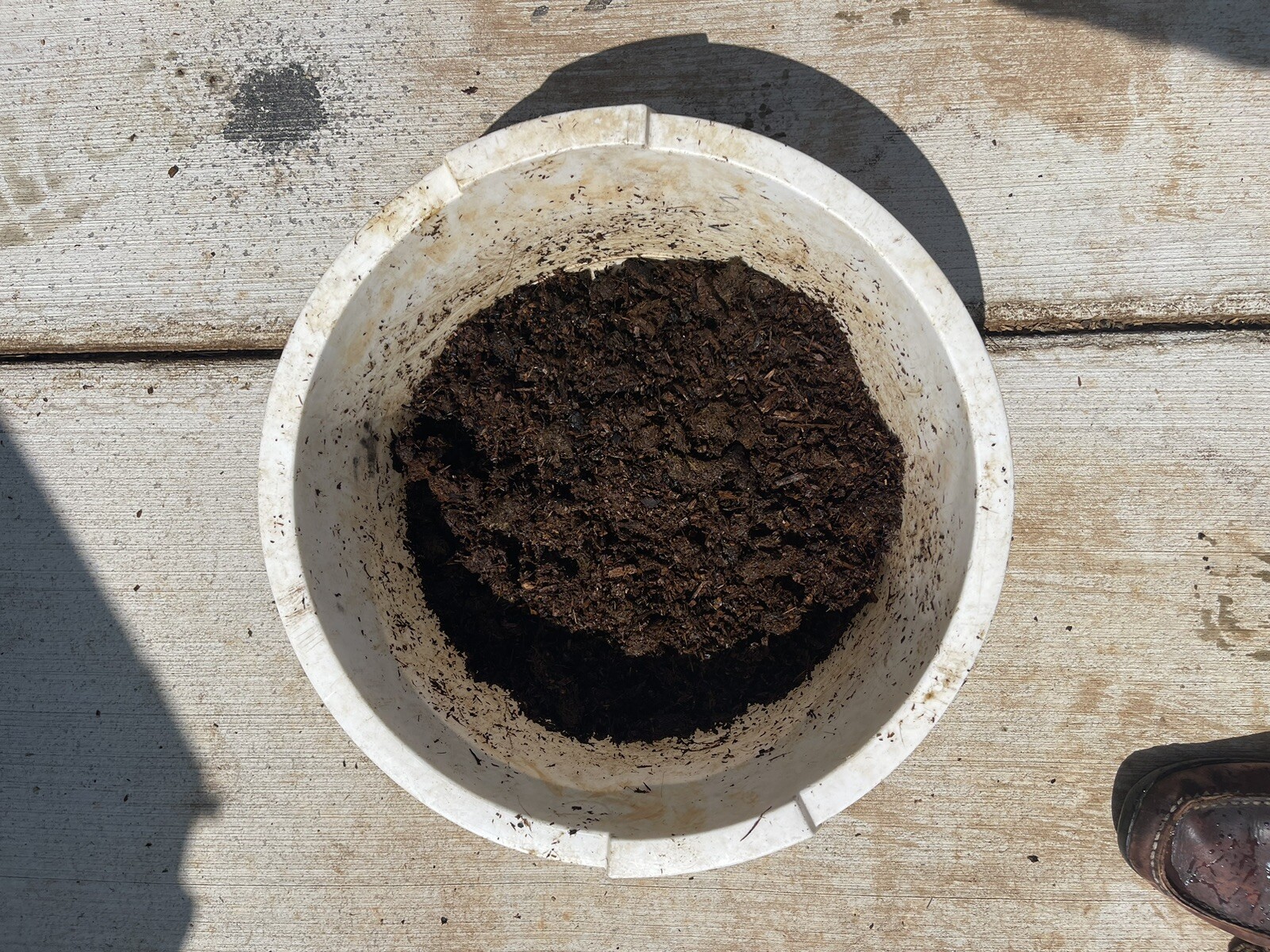 compost – horse manure/soft wood shavings – mature aged ready to use – tested