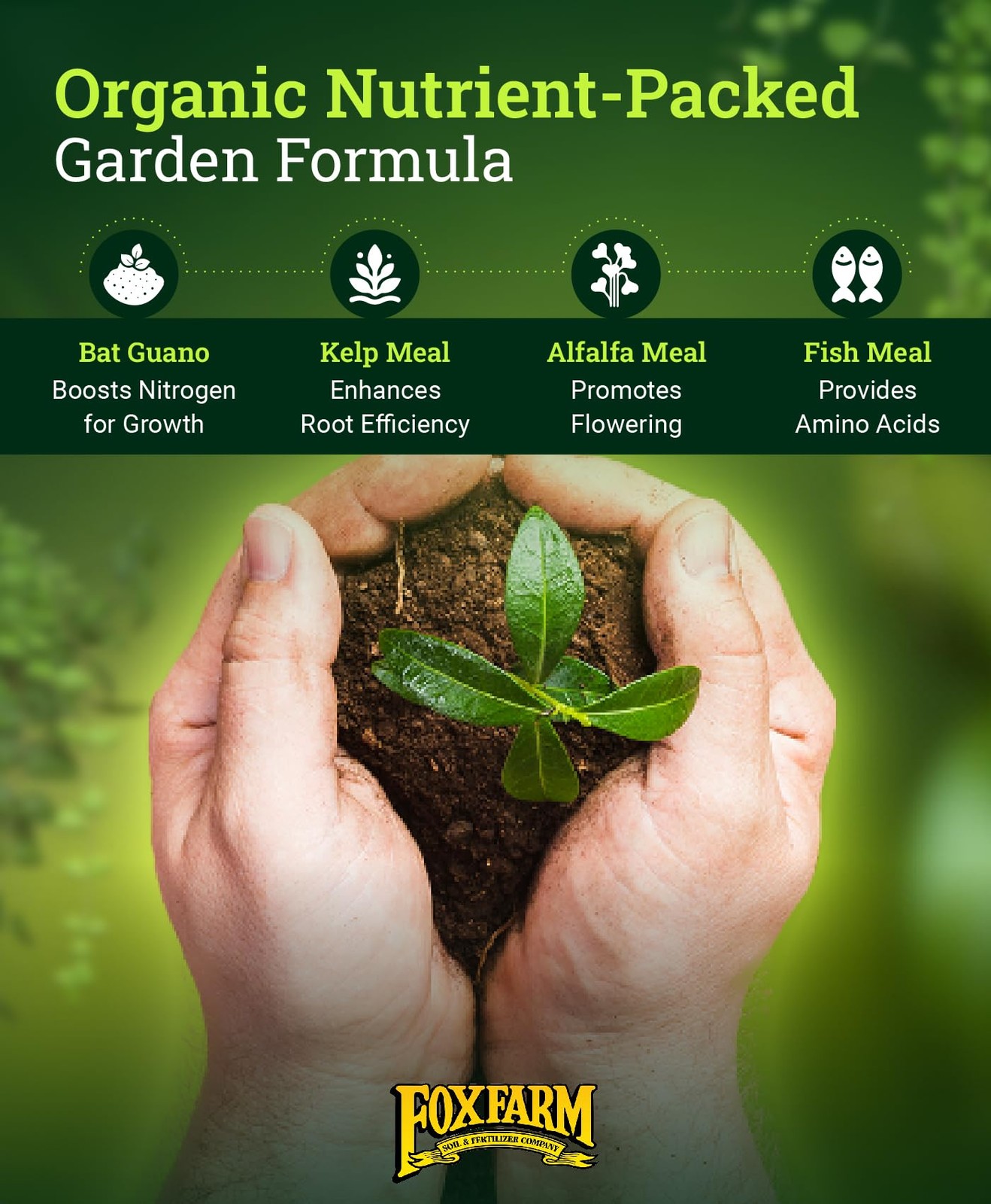 FoxFarm Happy Frog Garden Tomato and Vegetable Soil Dry Plant Fertilizer Mix
