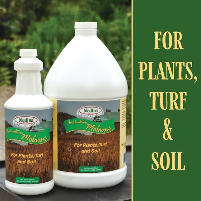 Medina Horticulture Molasses 1-Gallon 0-Gallon 0-Gallon Liquid All-purpose Food