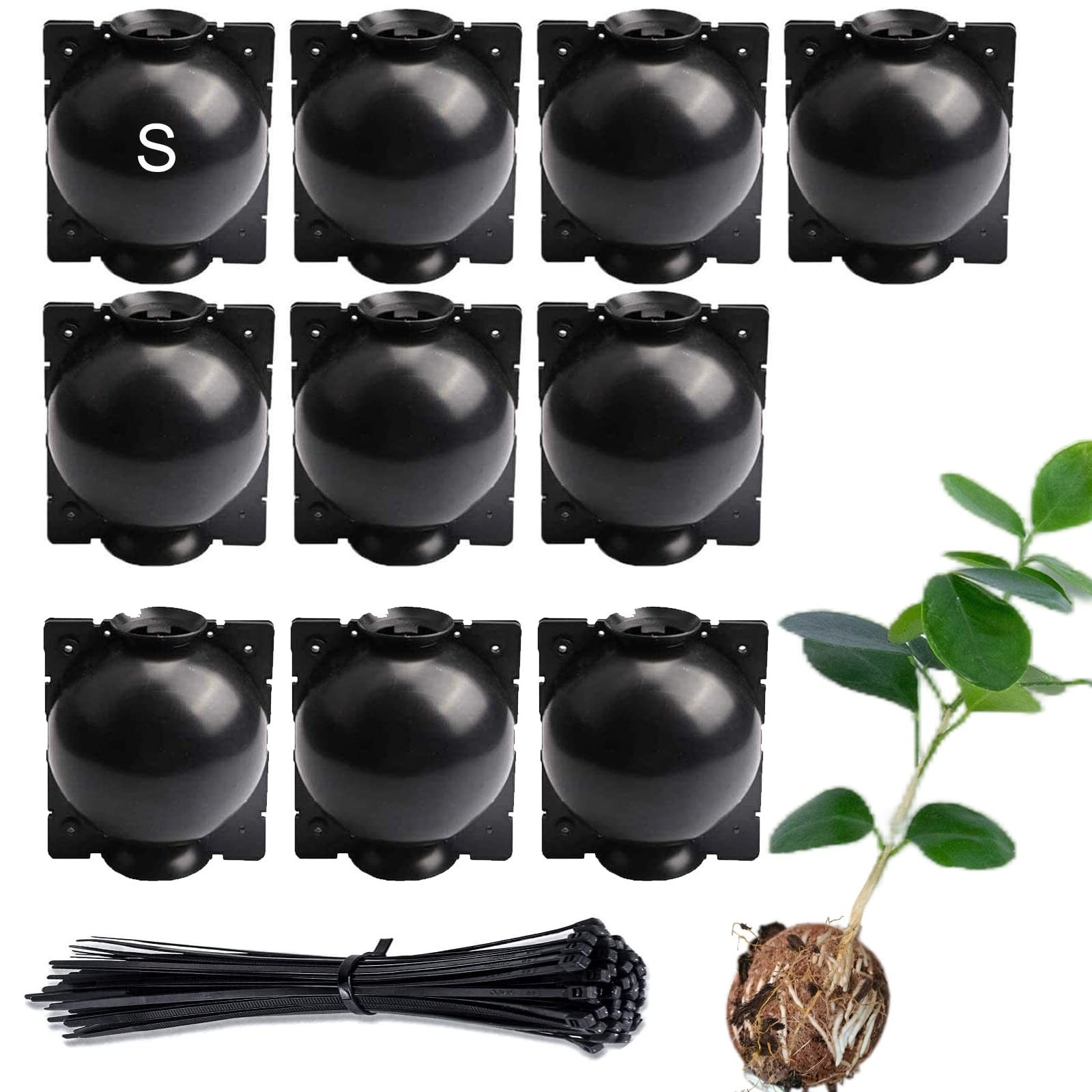 Tree Root Growing Box – Air Layering Propagation Pods for Woody Plants, Re