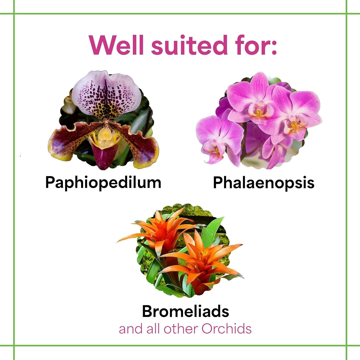 1.25 lbs Micronutrient-Rich Water-Soluble Orchid Fertilizer for Exquisite Blooms
