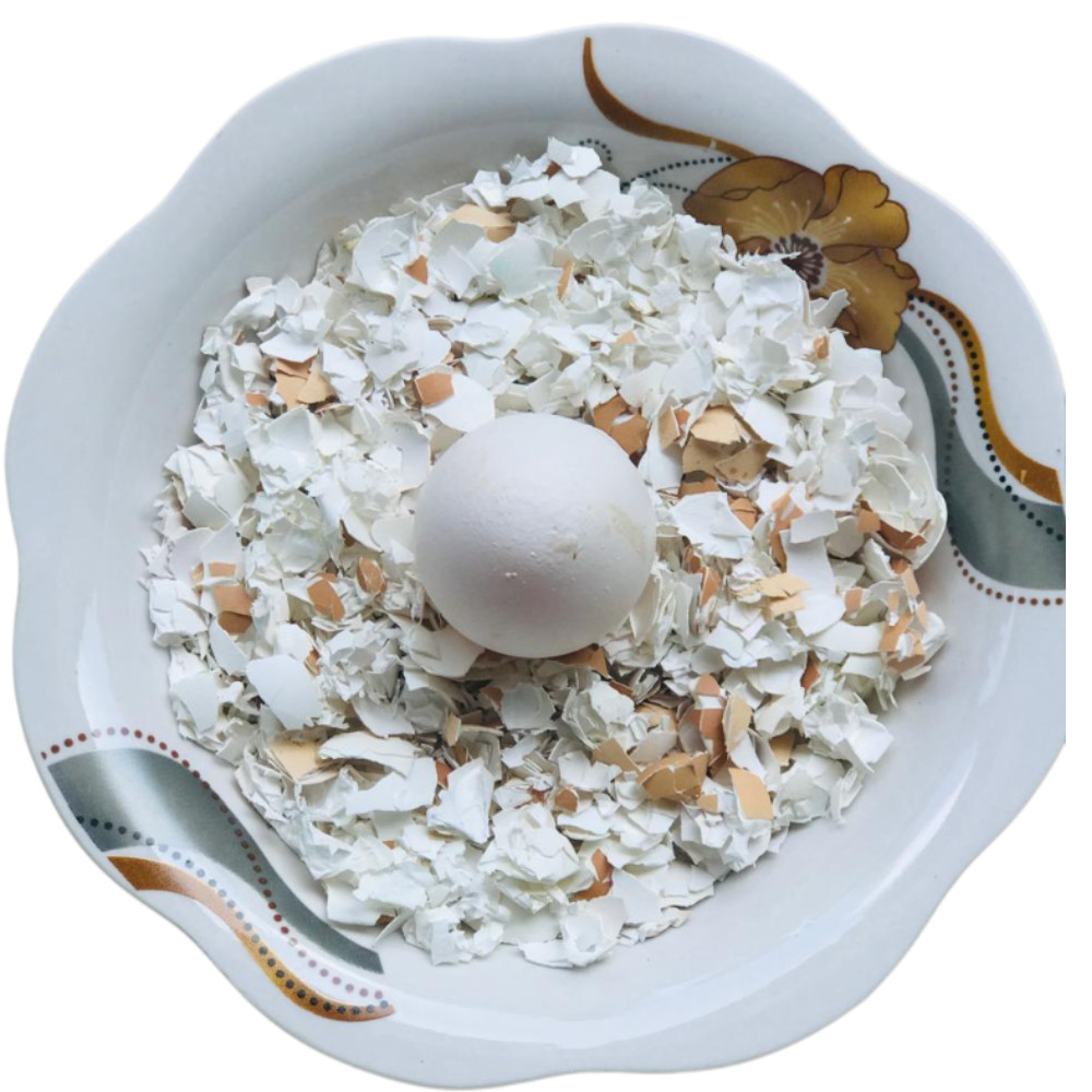 Egg Shell Organic Ceylon Crushed 100g fertilizer Whitener Home Made Calcium