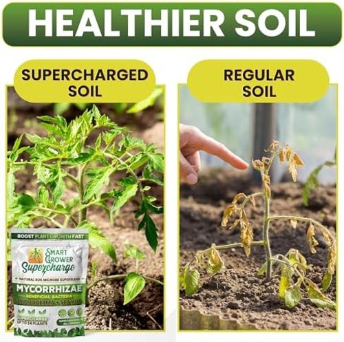 Mycorrhizal Fungi with Beneficial Bacteria, Trichoderma, Sea Kelp, Molasses, …