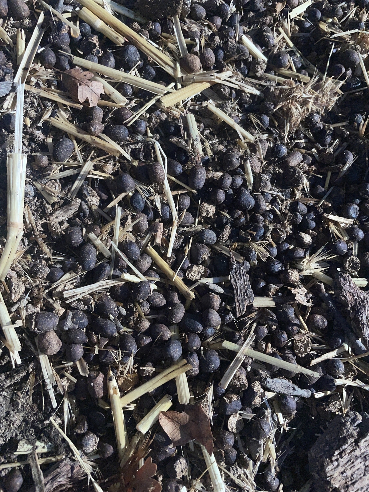 Goat Manure Fertilizer For Your Plants! Organic 1 Pound