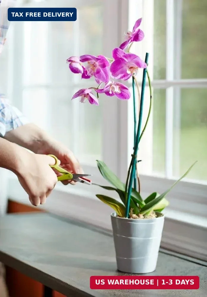 Miracle-Gro Orchid Plant Food Spikes – Indoor Plant Fertilizer Sticks for Potted